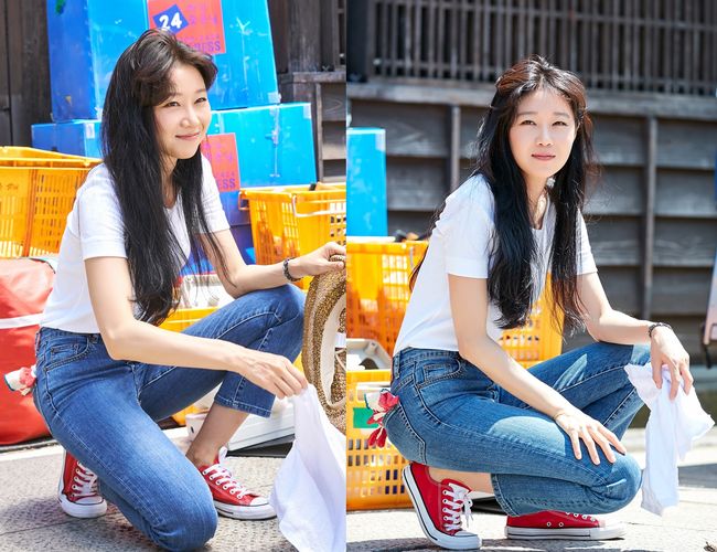 팬엔터테인먼트 제공