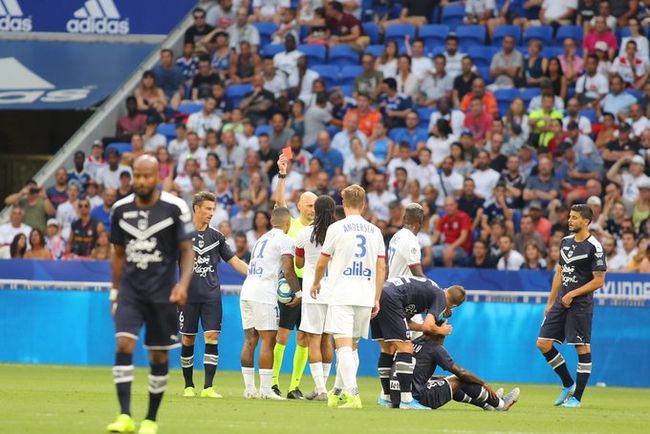 [사진] 보르도 SNS