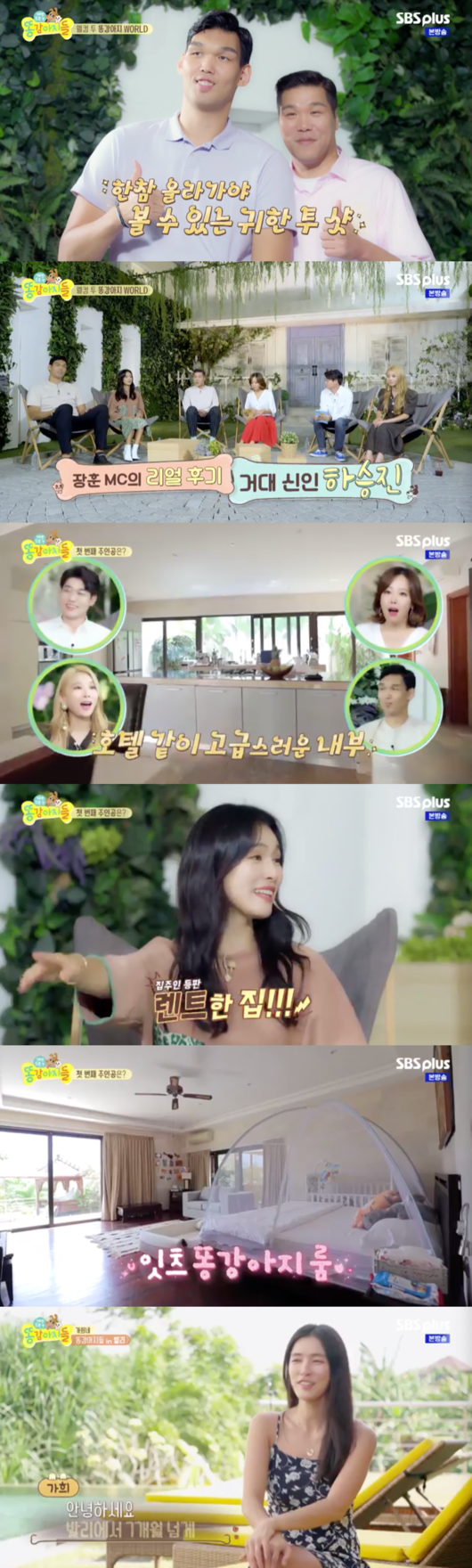 [사진] '똥강아지들' 방송화면 캡처