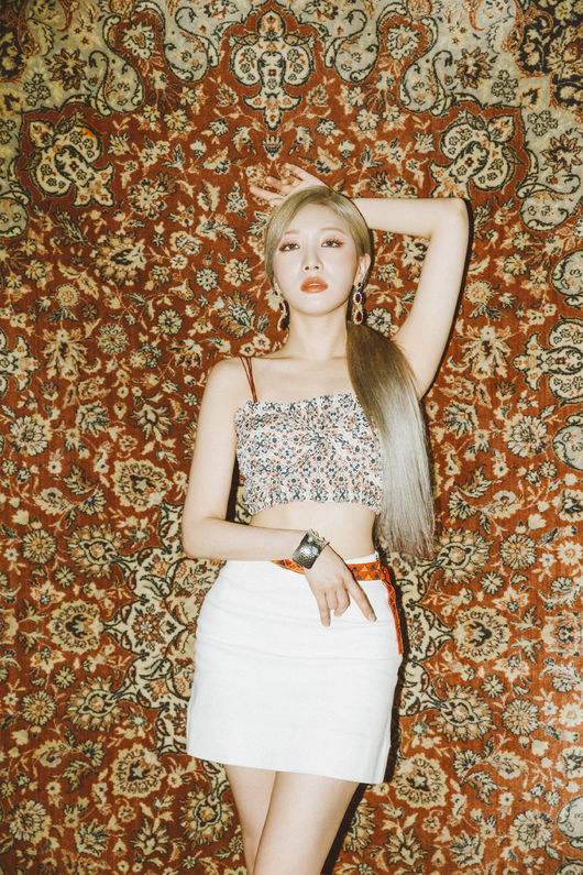 [사진] 글로벌에이치미디어 제공