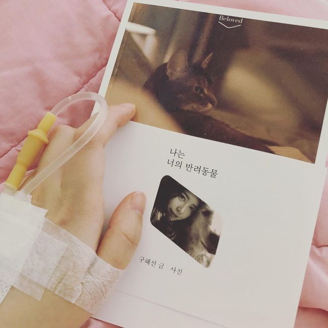 구혜선 인스타그램