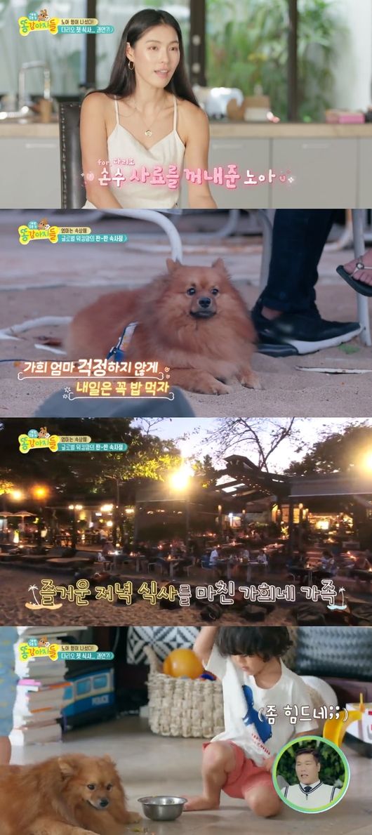 '똥강아지들' 방송화면