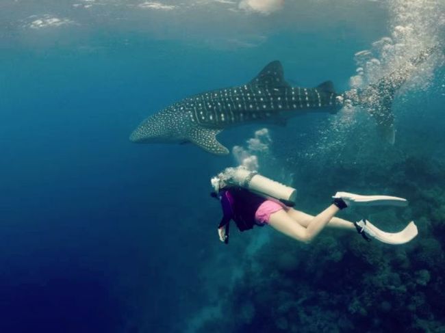 오정연 인스타그램