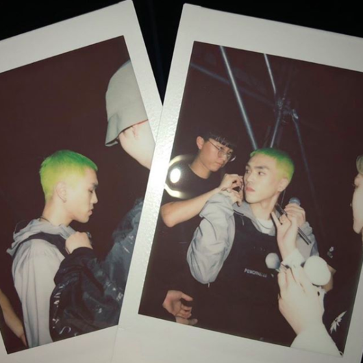 [사진] 펀치넬로 SNS