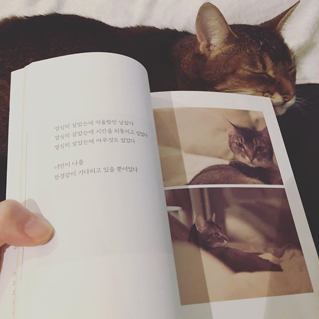 구혜선 인스타그램