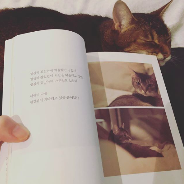 [사진] 구혜선 SNS