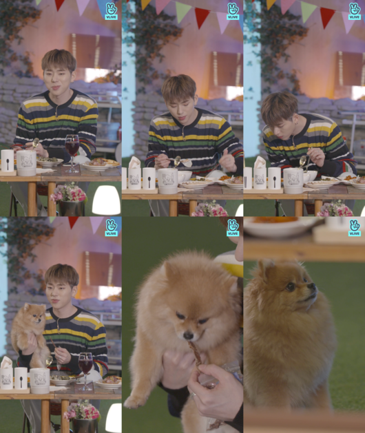 [사진] V앱 화면 캡처