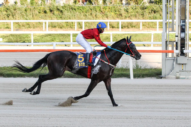 [사진]한국마사회 제공