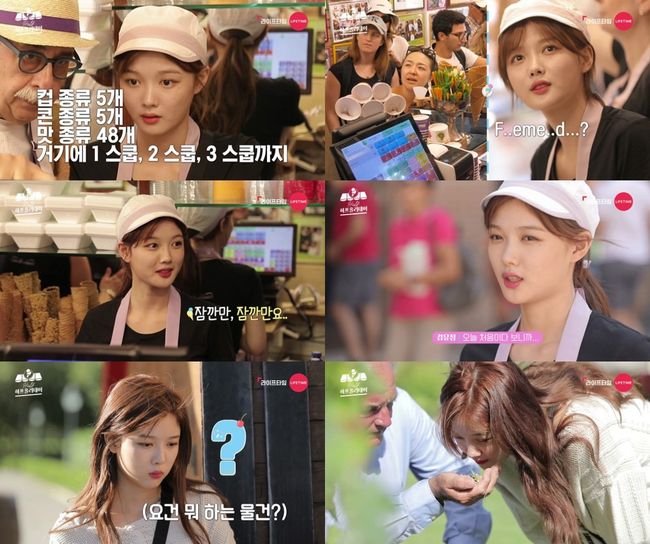 라이프타임 제공