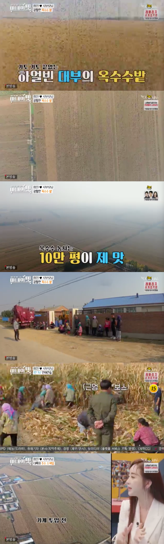 [사진] '아내의 맛' 캡처