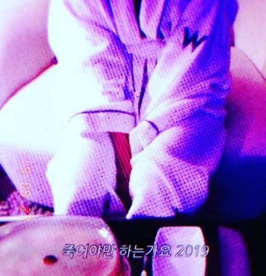 [사진=구혜선 SNS] 배우 구혜선이 안재현의 이혼 책임을 주장하며 공개한 사진.