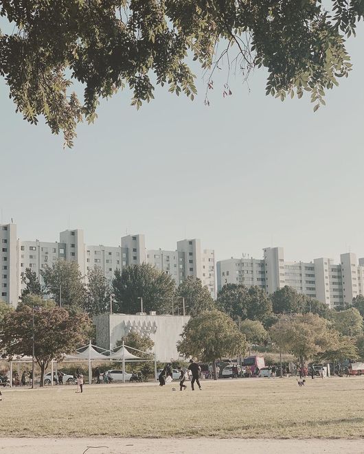 손태영 인스타그램