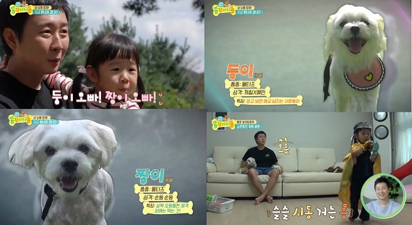 '똥강아지들' 방송화면