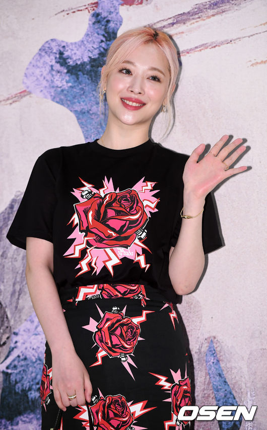 설리가 포토월로 입장하며 포즈를 취하고 있다./ rumi@osen.co.kr