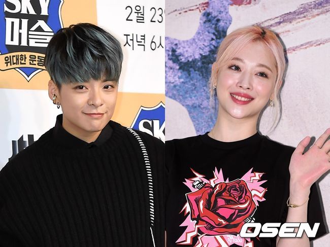 엠버(왼쪽)와 설리. OSEN DB