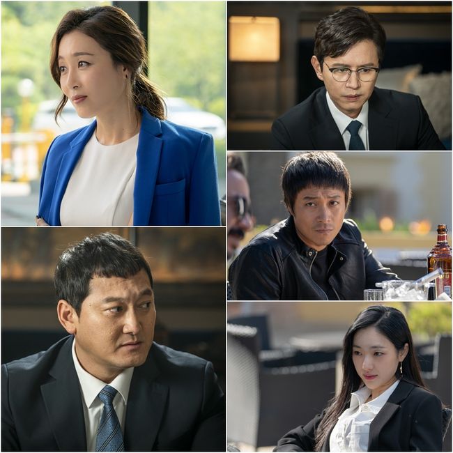 셀트리온엔터테인먼트 제공