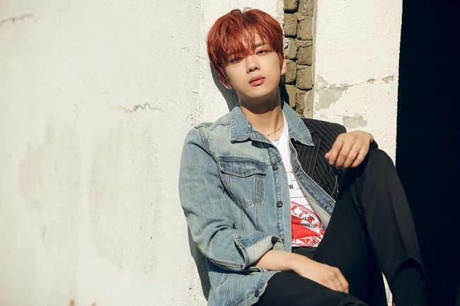 디모스트엔터테인먼트 제공