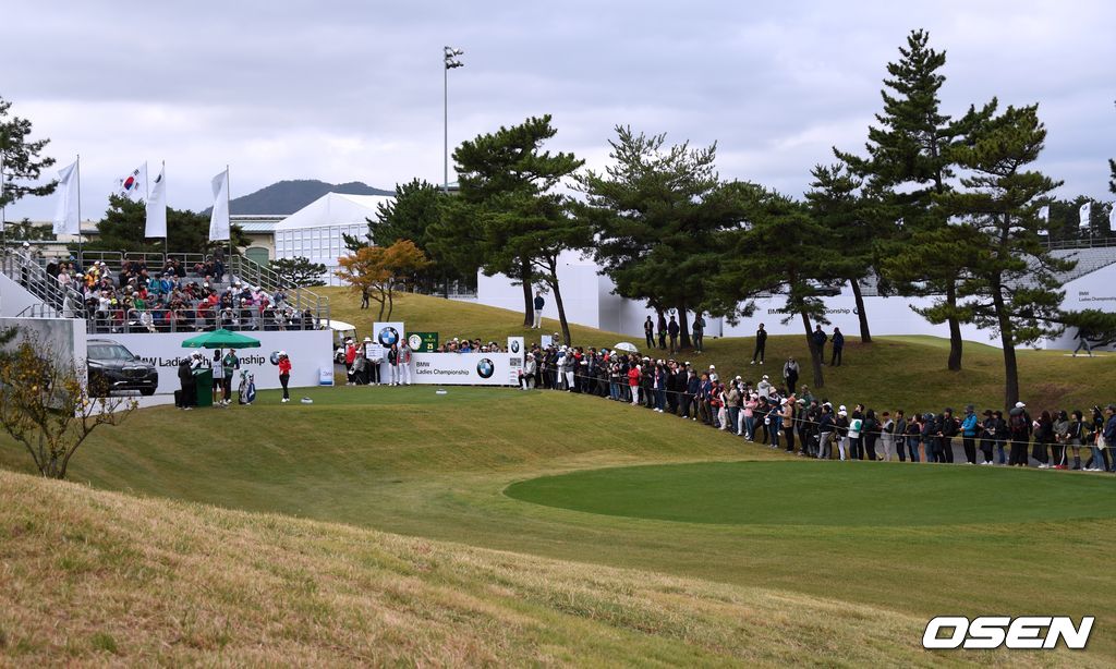 선수들의 경기를 지켜보고 있는 갤러리. 