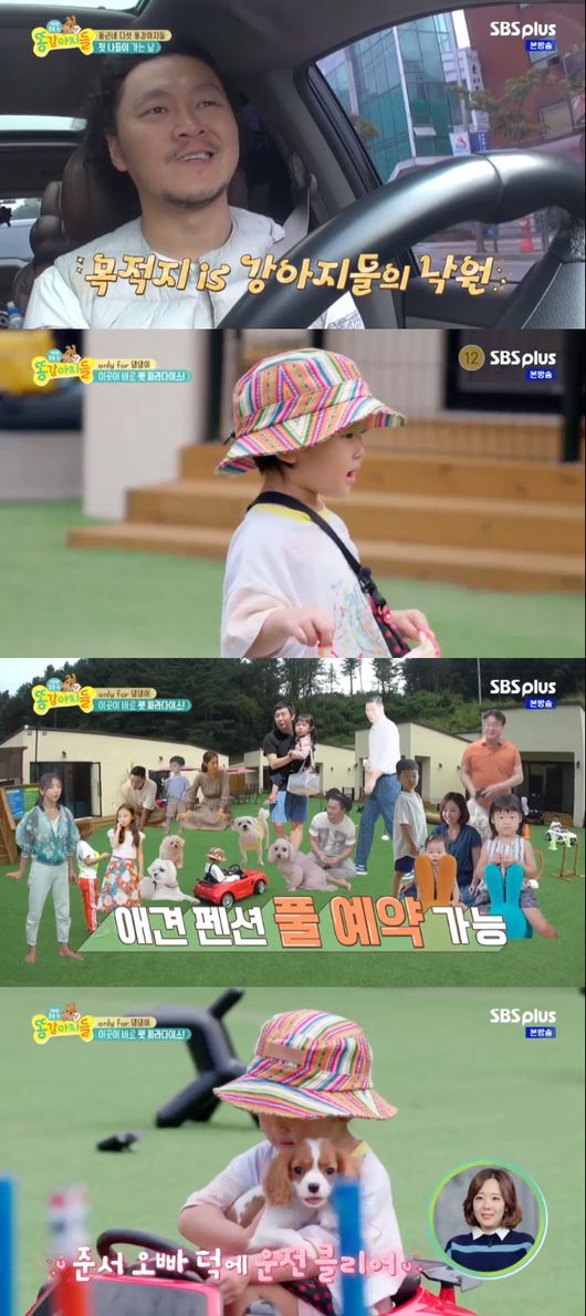 '똥강아지들' 방송화면