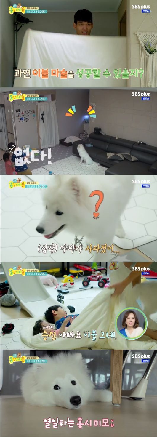 '똥강아지들' 방송화면