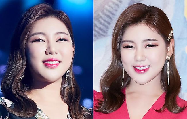 포켓돌스튜디오 제공