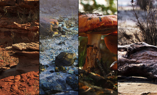 에픽 게임즈 제공.