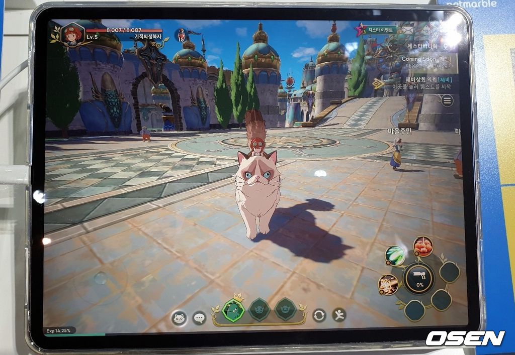 고양이 탈것 화면.