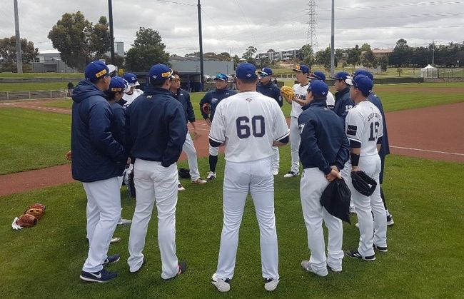 [사진] 질롱 코리아 제공