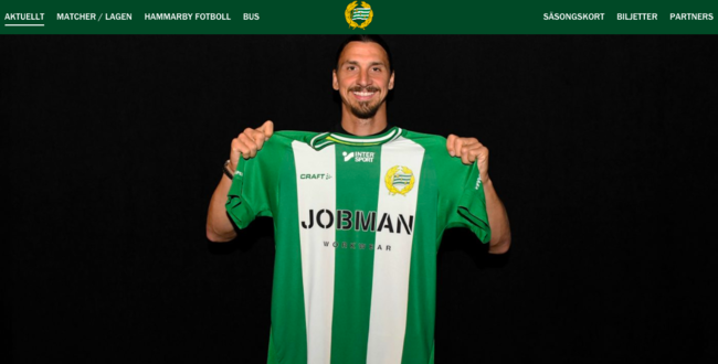 [사진] 함마르뷔 홈페이지 캡처