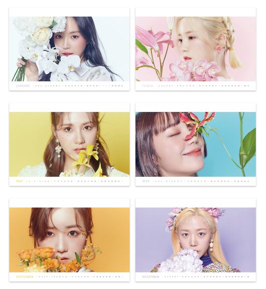 플레이엠엔터테인먼트 제공