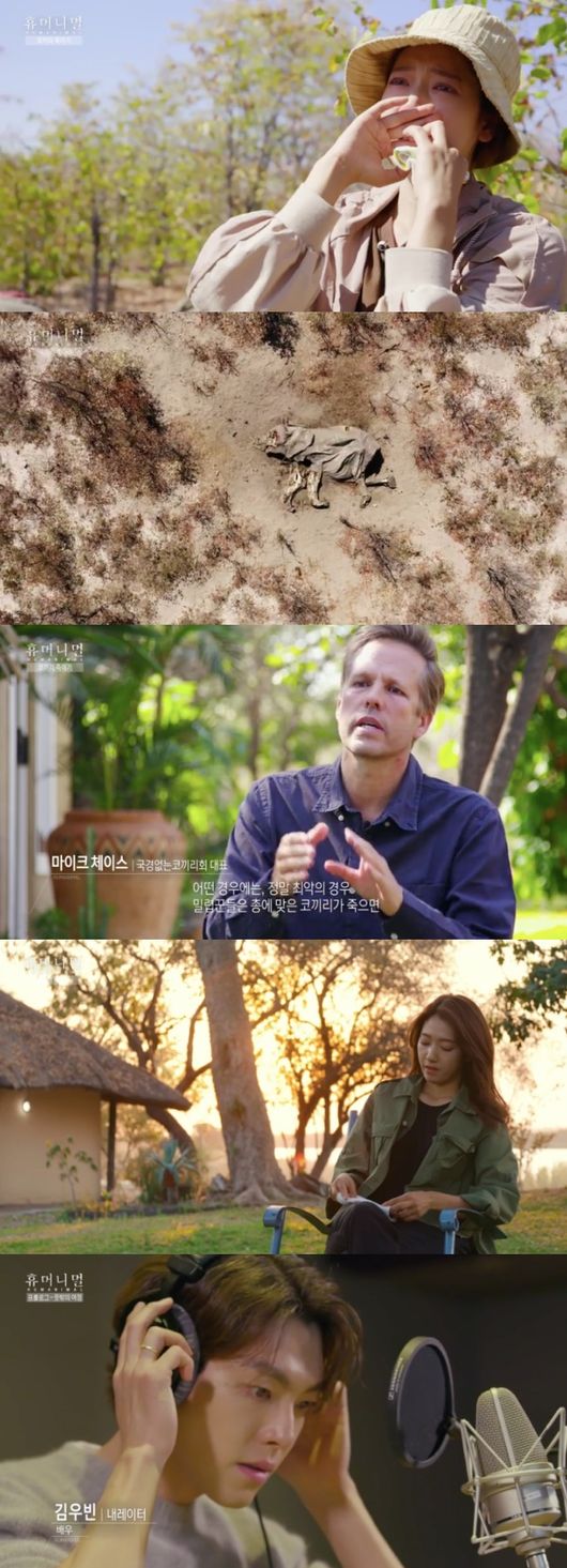 [사진=MBC 방송화면] '휴머니멀' 첫 방송에서 배우 박신혜, 김우빈 등이 출연했다.