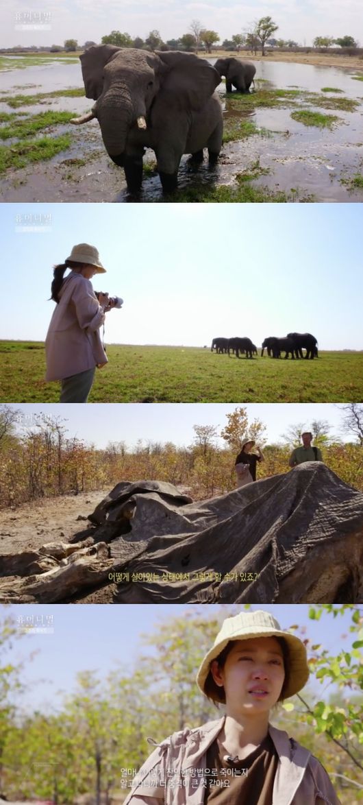 [사진=MBC 방송화면] '휴머니멀' 첫 방송에서 배우 박신혜가 밀렵꾼에게 당한 코끼리 사체를 보고 충격받았다.