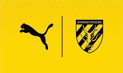 [사진]전남 드래곤즈 제공