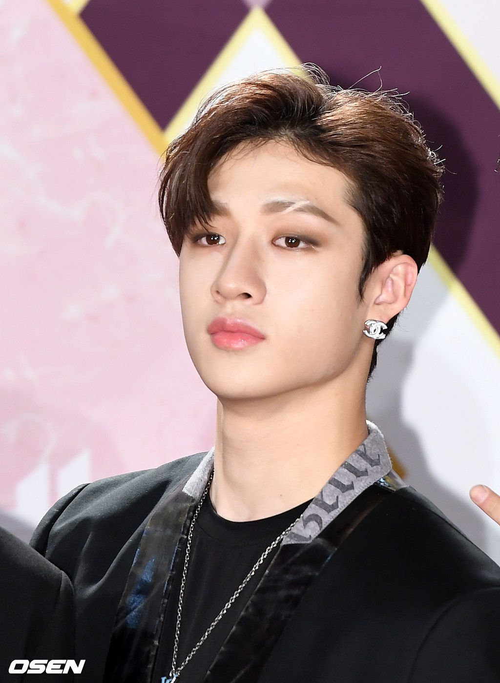 27일 오후 경기도 고양시 킨텍스에서 ‘2019 KBS 가요대축제’ 포토월 행사가 열렸다.그룹 스트레이키즈 방찬이 포토타임을 갖고 있다. /sunday@osen.co.kr