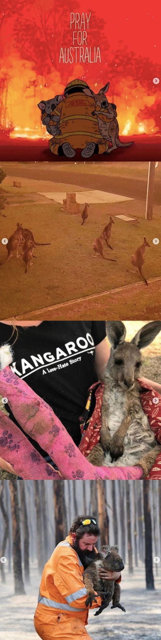 [사진=스트레이키즈 공식 SNS] 방찬이 스트레이키즈 공식 SNS를 통해 호주 산불 사태를 알리는 사진과 글을 게재했다.