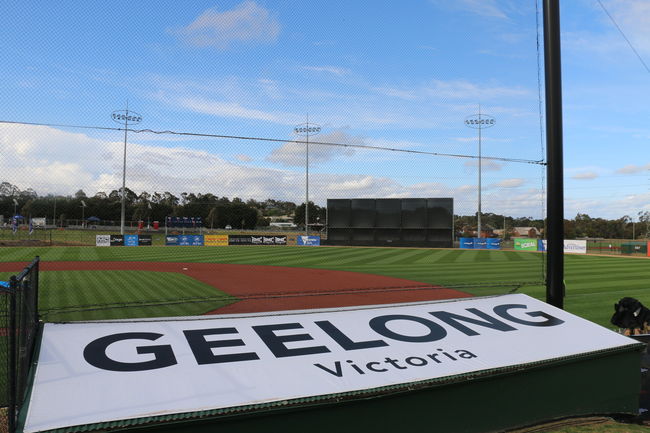 [사진] 질롱코리아 제공