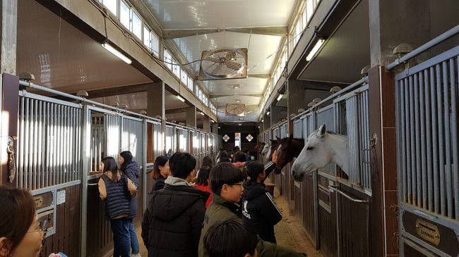 [사진]한국마사회 제공