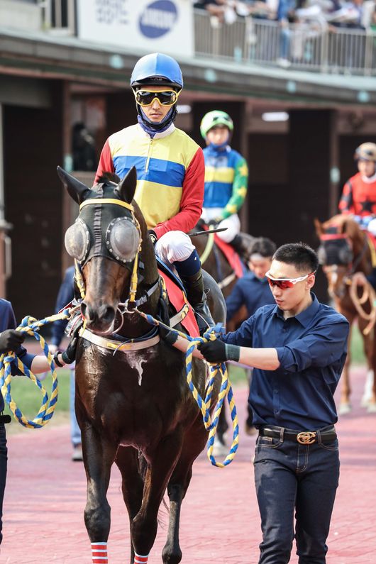 [사진]한국마사회 제공