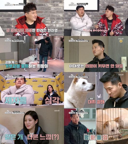 방송화면 캡처