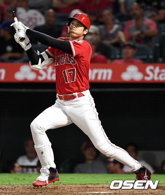 오타니 쇼헤이/dreamer@osen.co.kr