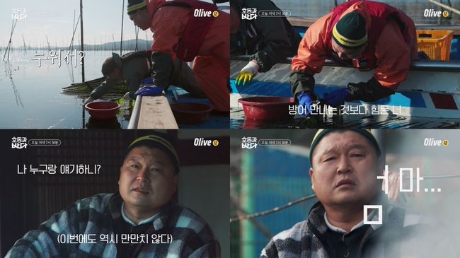 '호동과 바다' 제공