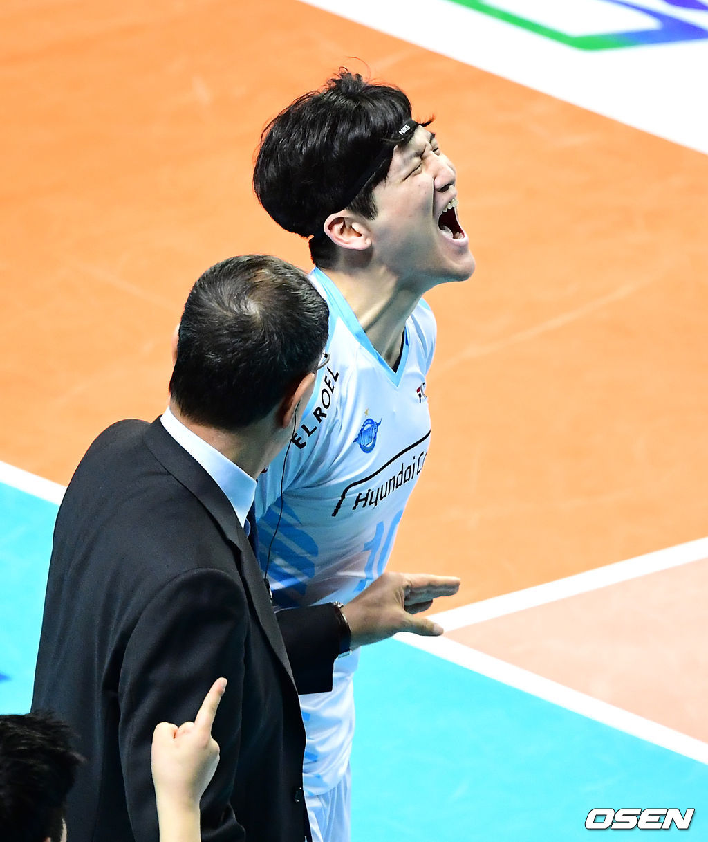 대한항공 정지석. /jpnews@osen.co.kr