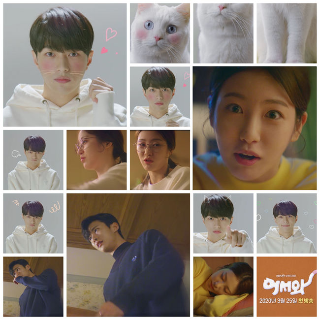 KBS 제공