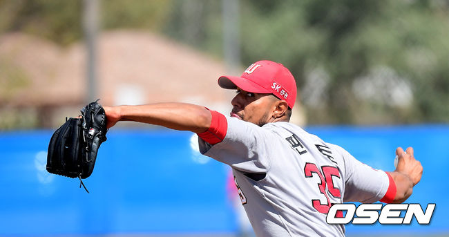 SK 핀토가 역투하고 있다. /jpnews@osen.co.kr