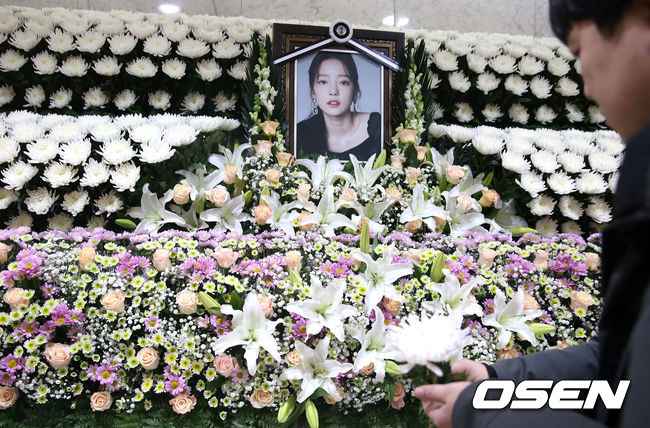 OSEN DB.