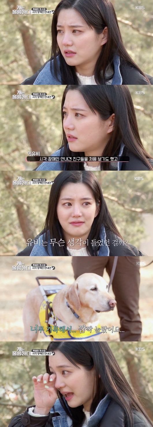 '개는 훌륭하다' 방송화면 캡처