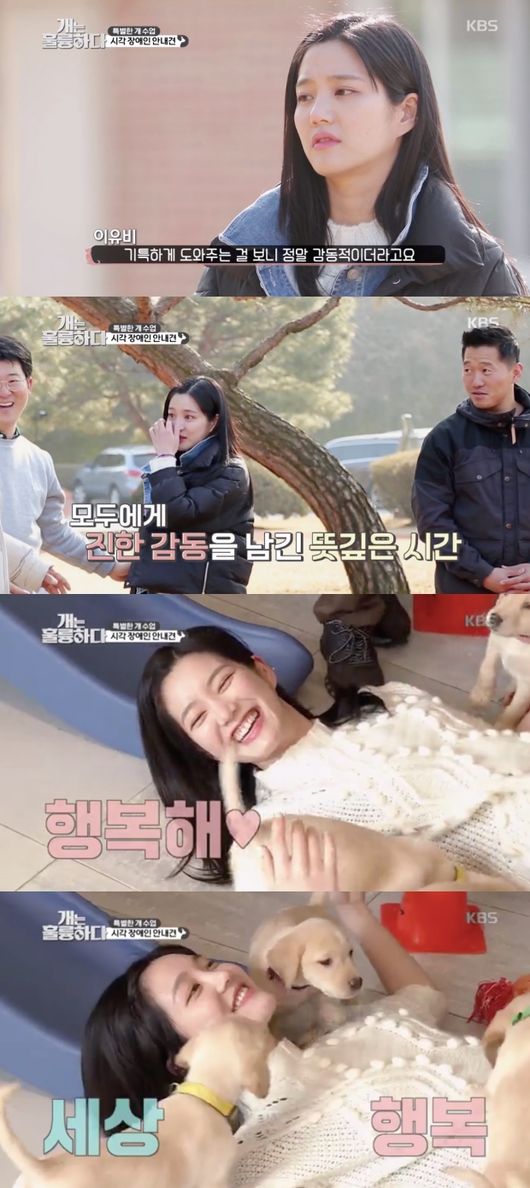 '개는 훌륭하다' 방송화면 캡처