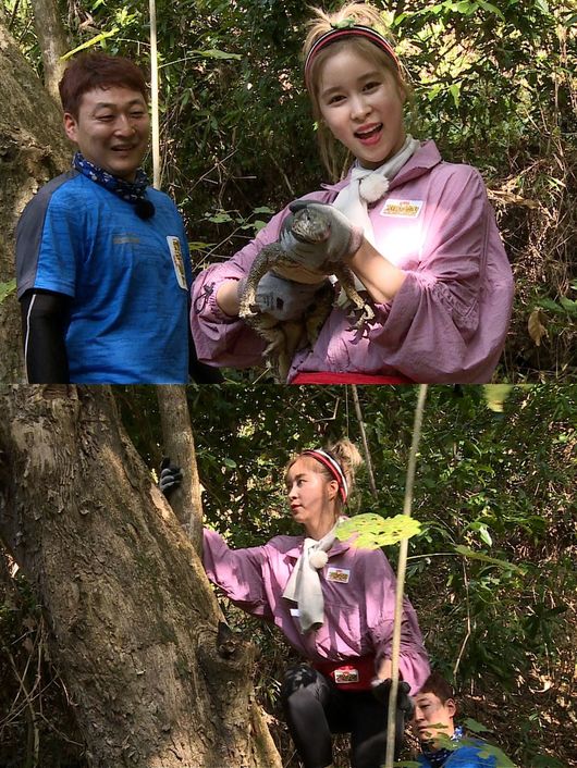 SBS 제공