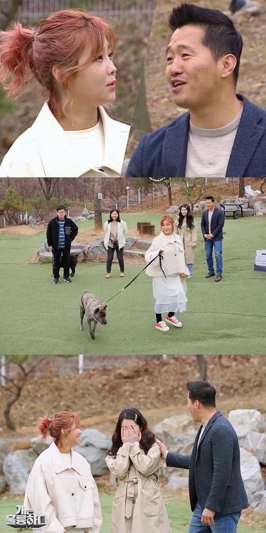 KBS 제공