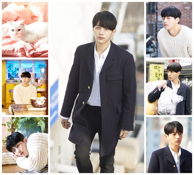 KBS 제공